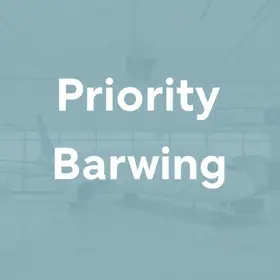 Problemas com embarque prioritário: guia prático para embarcar sem erro
