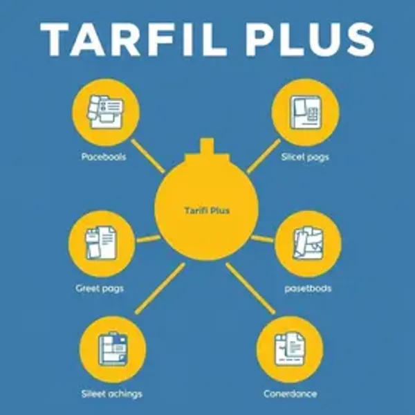 O que é tarifa plus: significado e como funciona