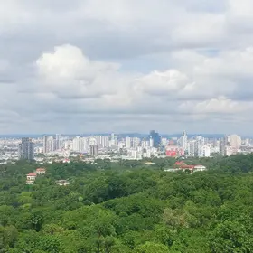 Quanto custa voo de Goiânia para São Paulo: preços, taxas e formas de economizar