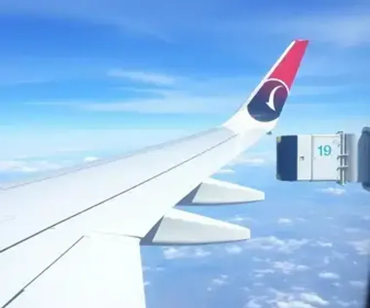 Como funciona voo com conexão na TAP: passo a passo para passageiros