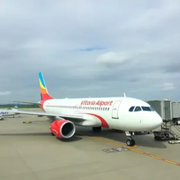 Embarque doméstico no Aeroporto de Vitória: guia local para embarcar melhor