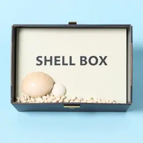 Shell Box Clube clube de pontos: guia prático para acumular e resgatar melhor