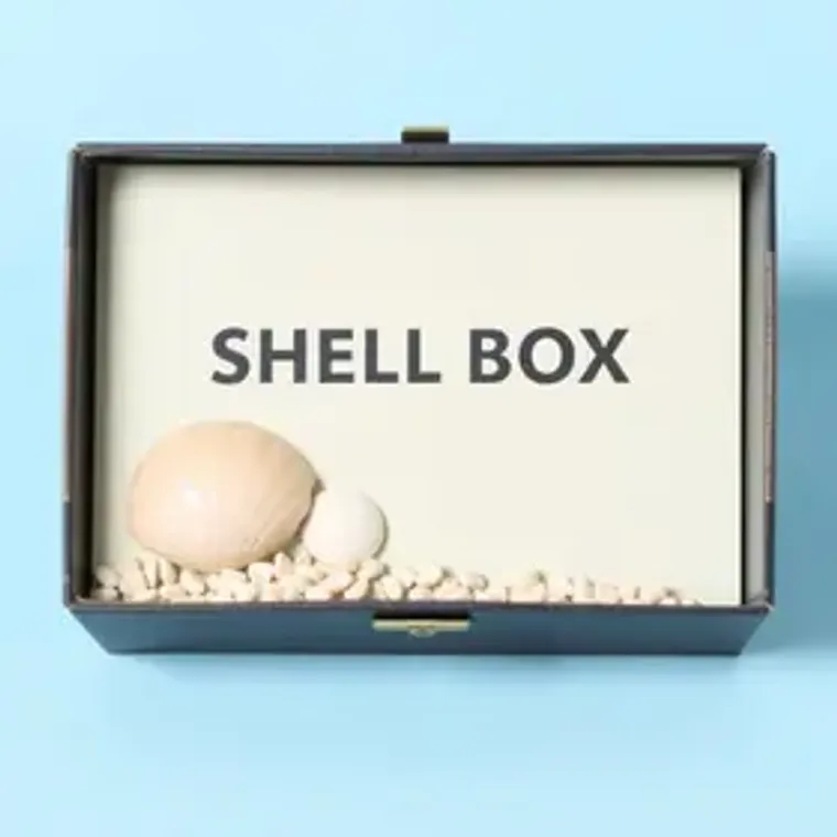 Shell Box Clube clube de pontos: guia prático para acumular e resgatar melhor