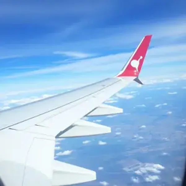 Como funciona voo com conexão na Avianca: passo a passo para passageiros
