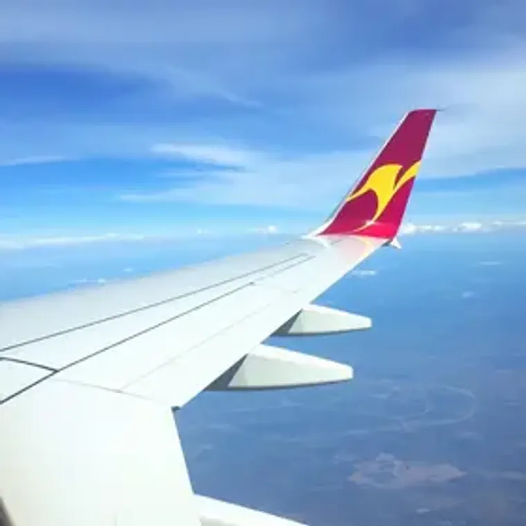 Avianca bagagem vale a pena? Veja quando compensa