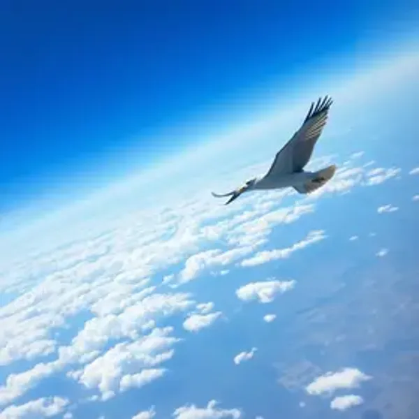 Azul Fidelidade emitir passagem com pontos: guia prático para acumular e resgatar melhor