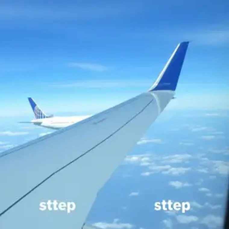 Como cancelar passagem da United Airlines: passo a passo para passageiros
